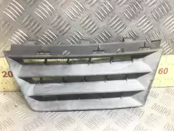 Заглушка (решетка) в бампер передний