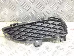 Заглушка (решетка) в бампер передний