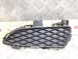 Заглушка (решетка) в бампер передний