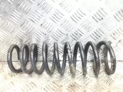 Пружина задняя