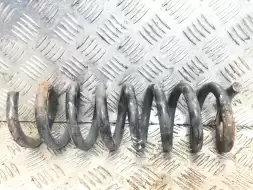 Пружина задняя