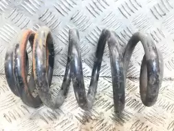 Пружина задняя