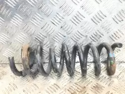 Пружина задняя