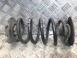 Пружина задняя