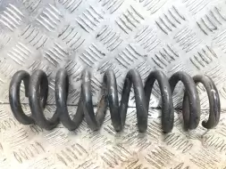 Пружина задняя