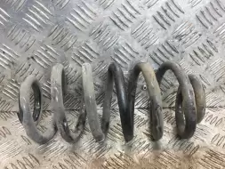 Пружина задняя