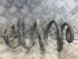 Пружина задняя