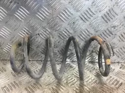 Пружина задняя