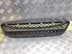 Заглушка (решетка) в бампер передний