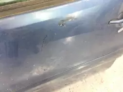 Дверь передняя левая